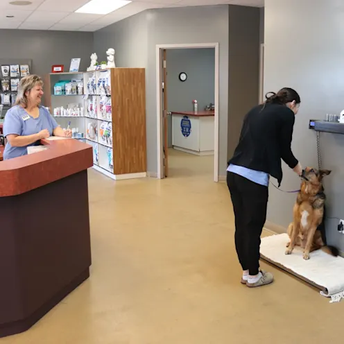 DD & GB Greet DD & GB Greet