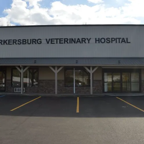 Outside Parkersburg Veterinary Hospital Outside Parkersburg Veterinary Hospital