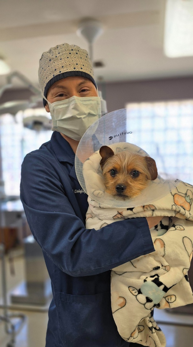 Dr. Quigley providing compassionate care during surgery recovery