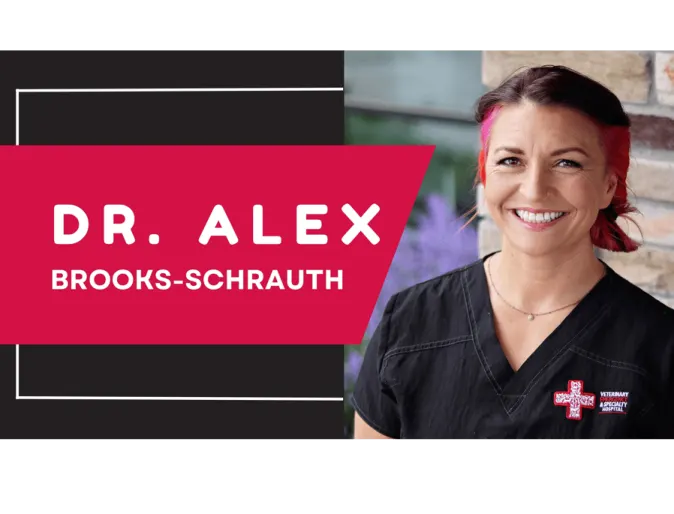 A graphic reading "Dr. Alex Brooks-Schrauth" with a photo of Dr. Brooks-Schrauth smiling