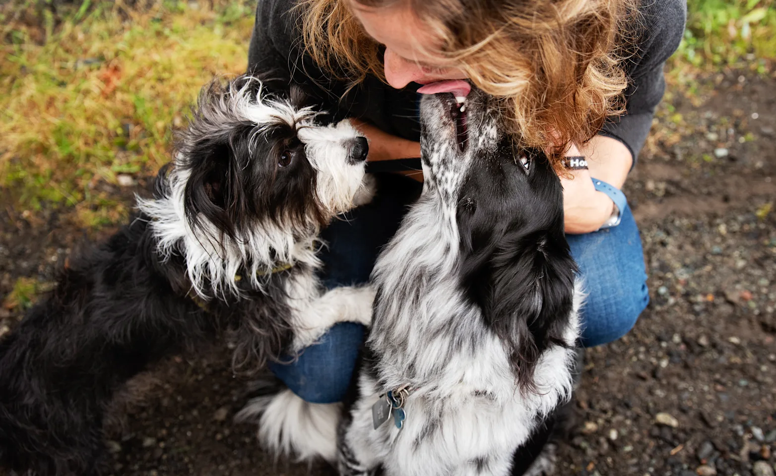 Staff member with two dogs Staff member with two dogs