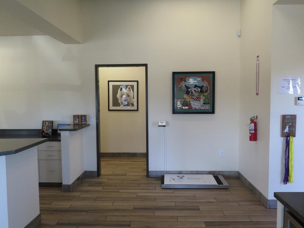 Pet weight scale in the corner of the room. 