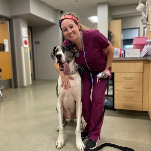 Glen Ellyn staff member inside the animal hospital leans over to hug dog