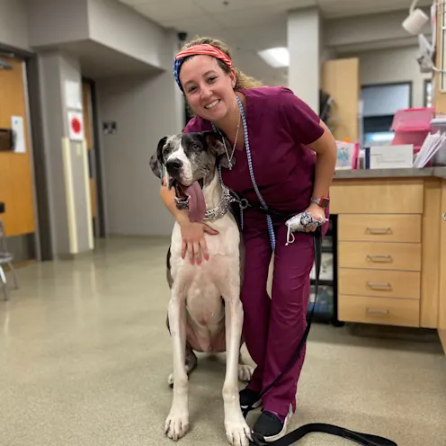 Glen Ellyn staff member inside the animal hospital leans over to hug dog Glen Ellyn staff member inside the animal hospital leans over to hug dog