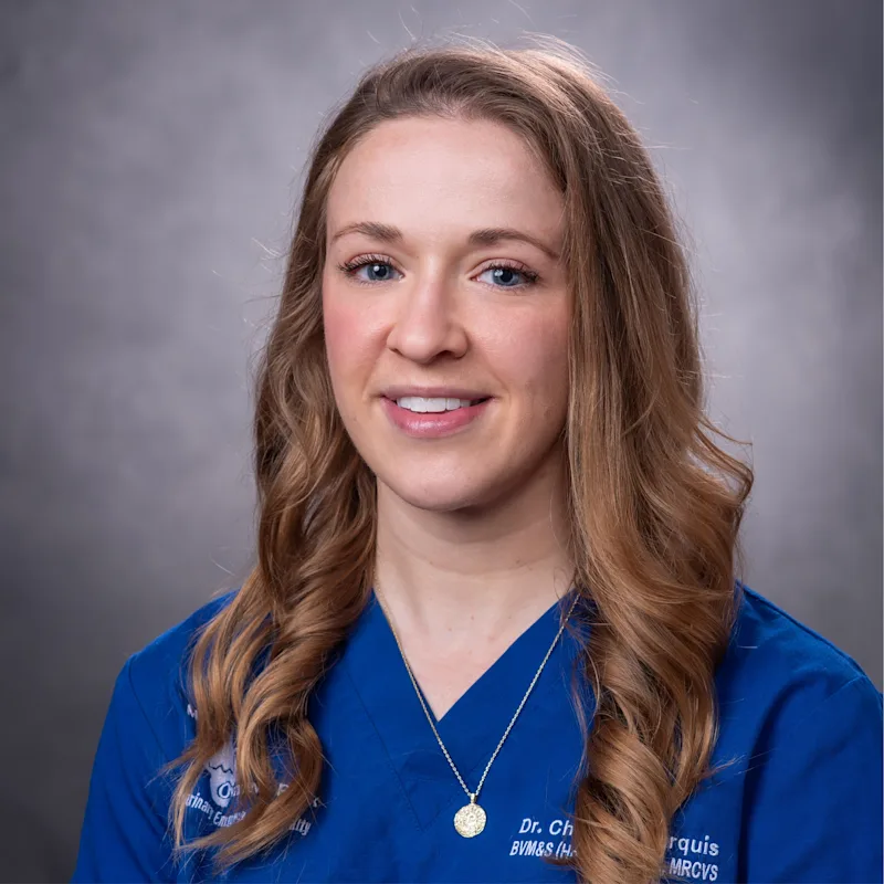 Charlotte Marquis Charlotte Marquis