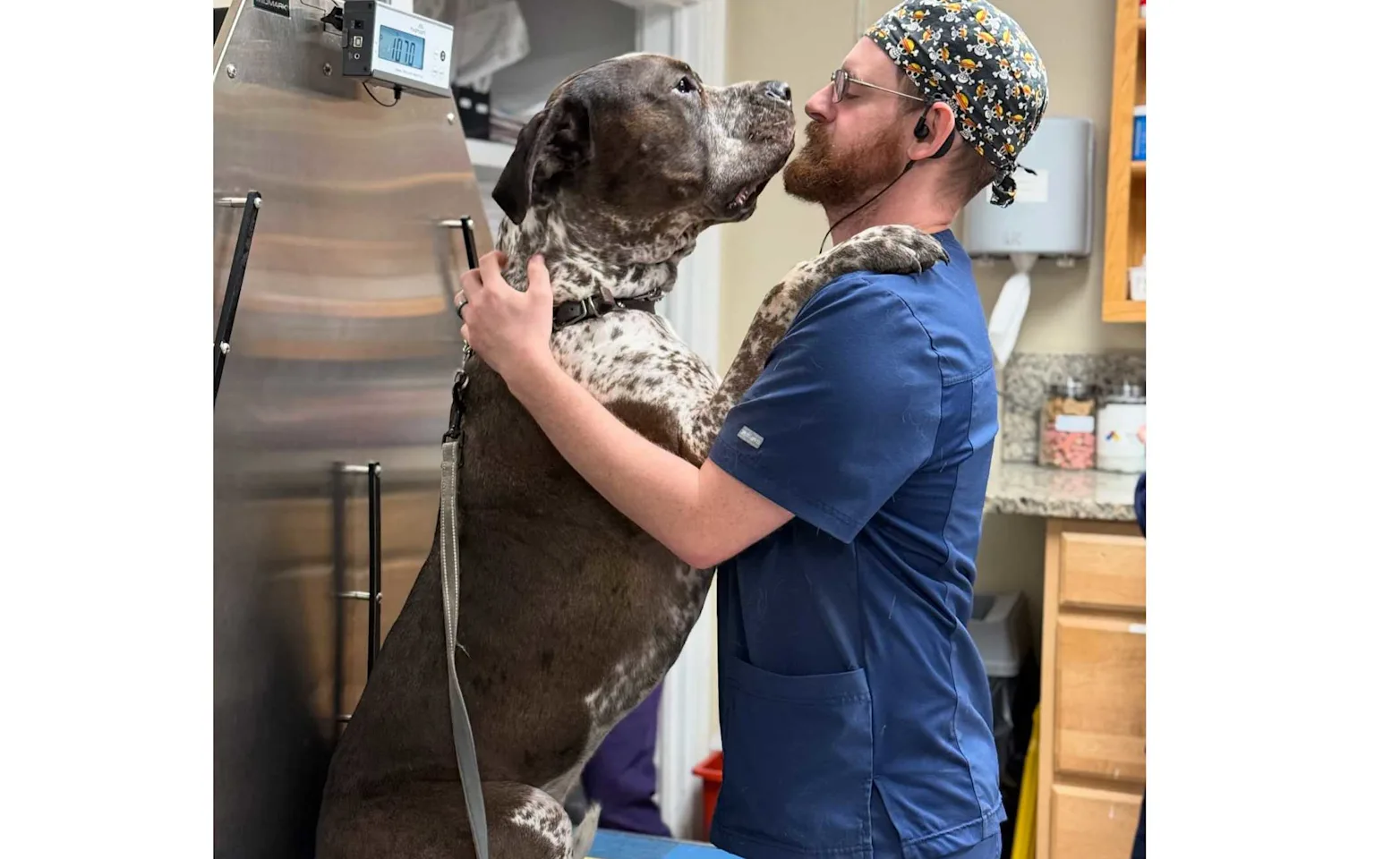 Staff holding dog Staff holding dog