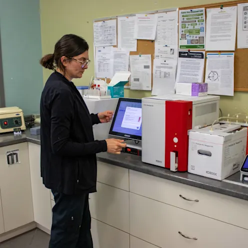 KL Bloodwork KL Bloodwork