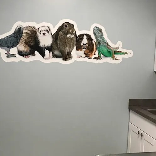 Wall decoration on exam room wall Wall decoration on exam room wall