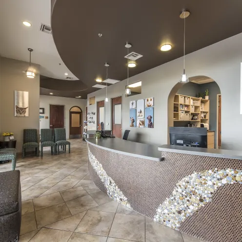 Hillside Animal Hospital Lobby (Wide shot)