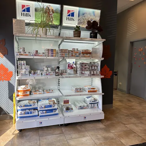 Food Display Food Display