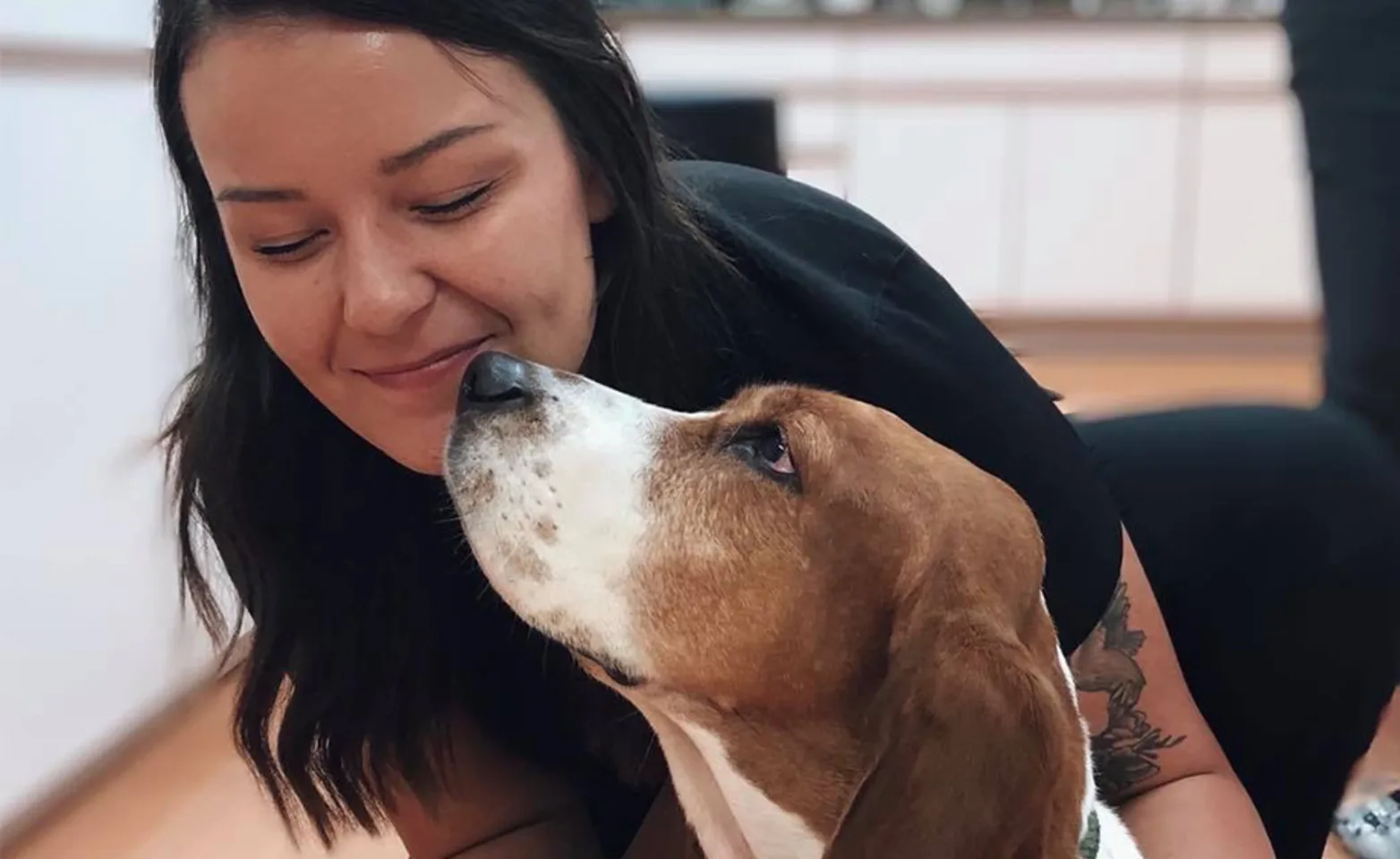 A basset hound and staff member posing & hugging A basset hound and staff member posing & hugging
