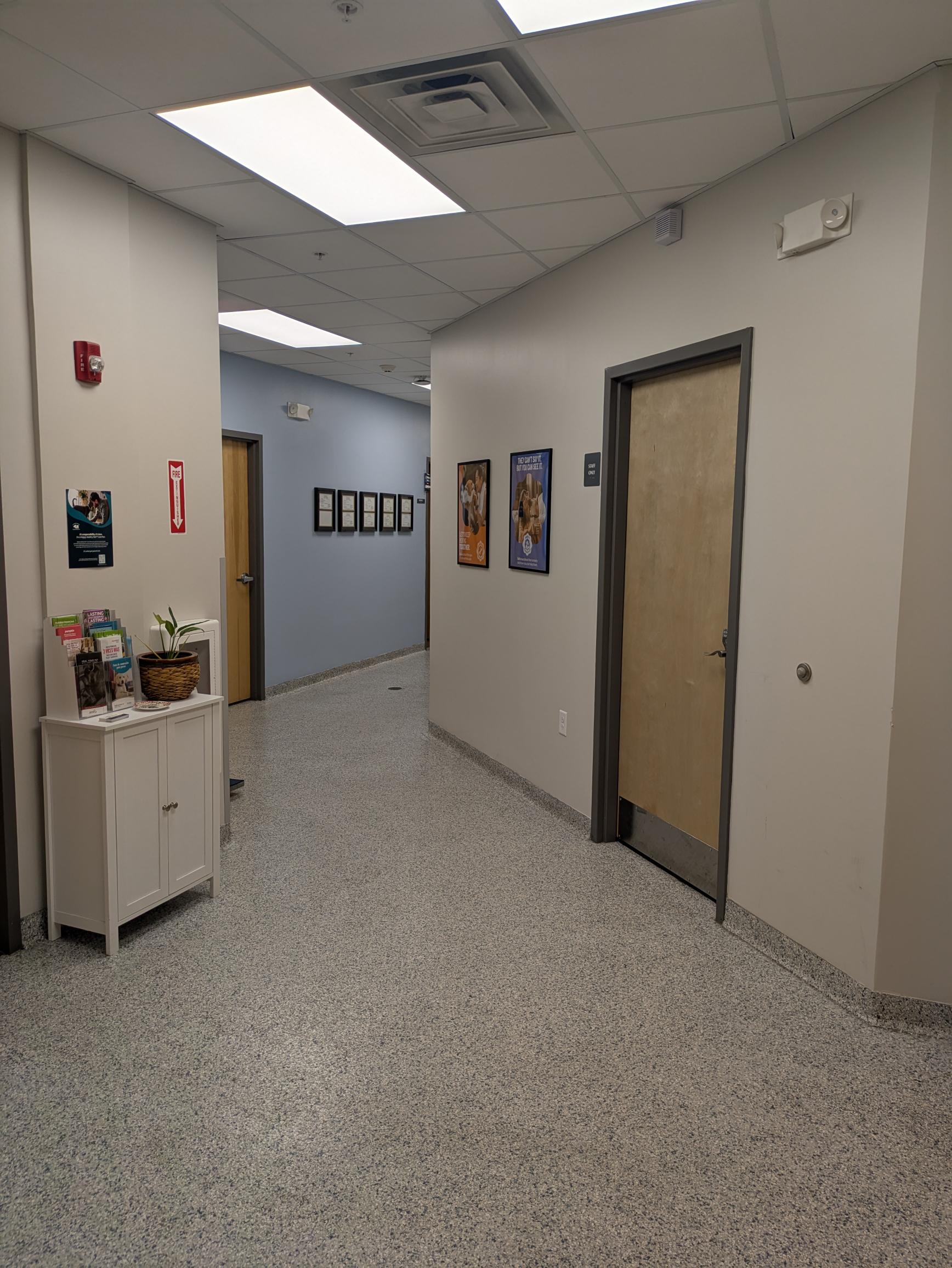 Hospital Hallway