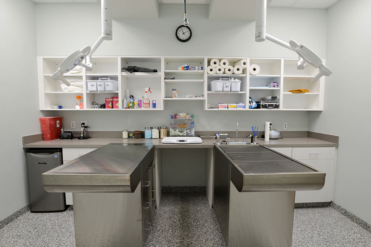 Feline Treatment Room