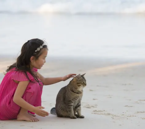 Cat with girl on the beach.