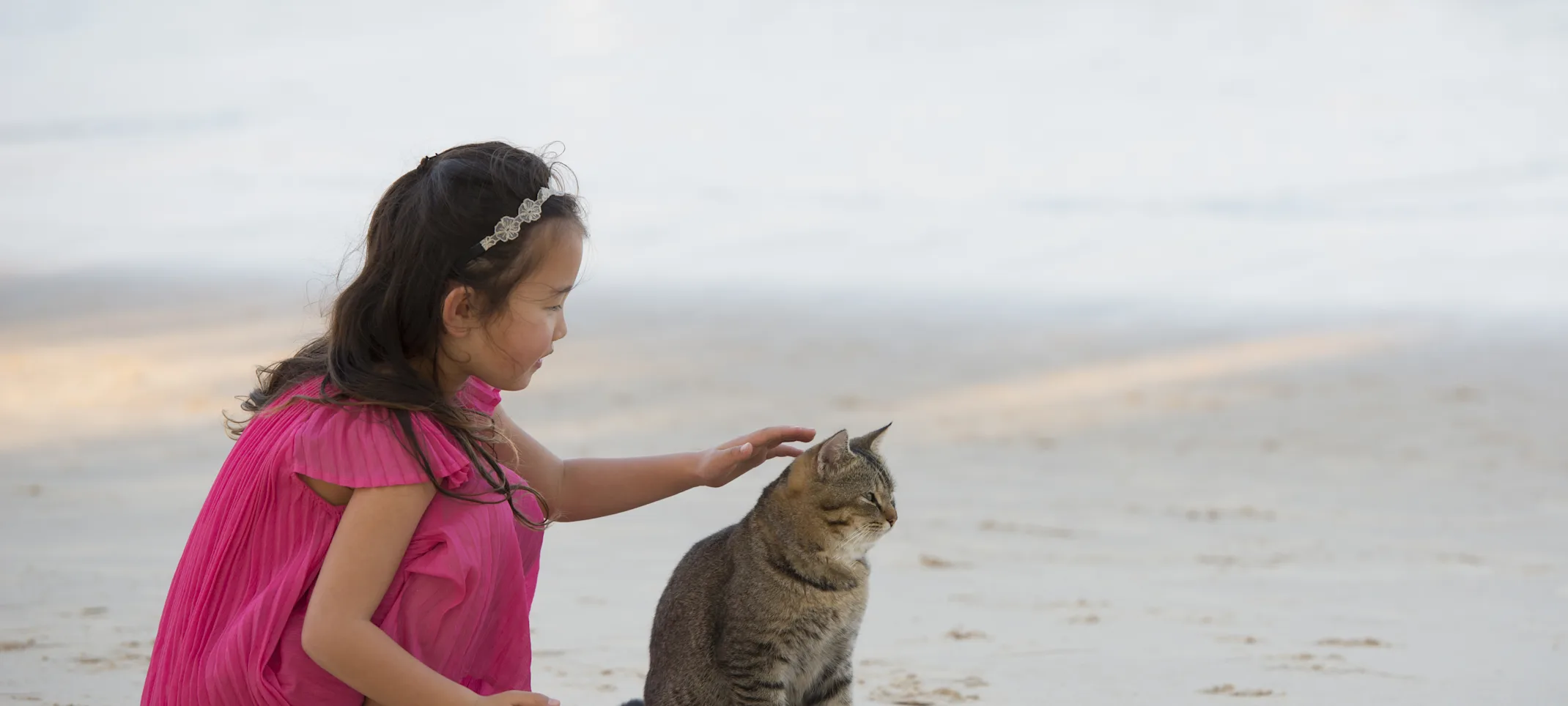 Cat with girl on the beach.