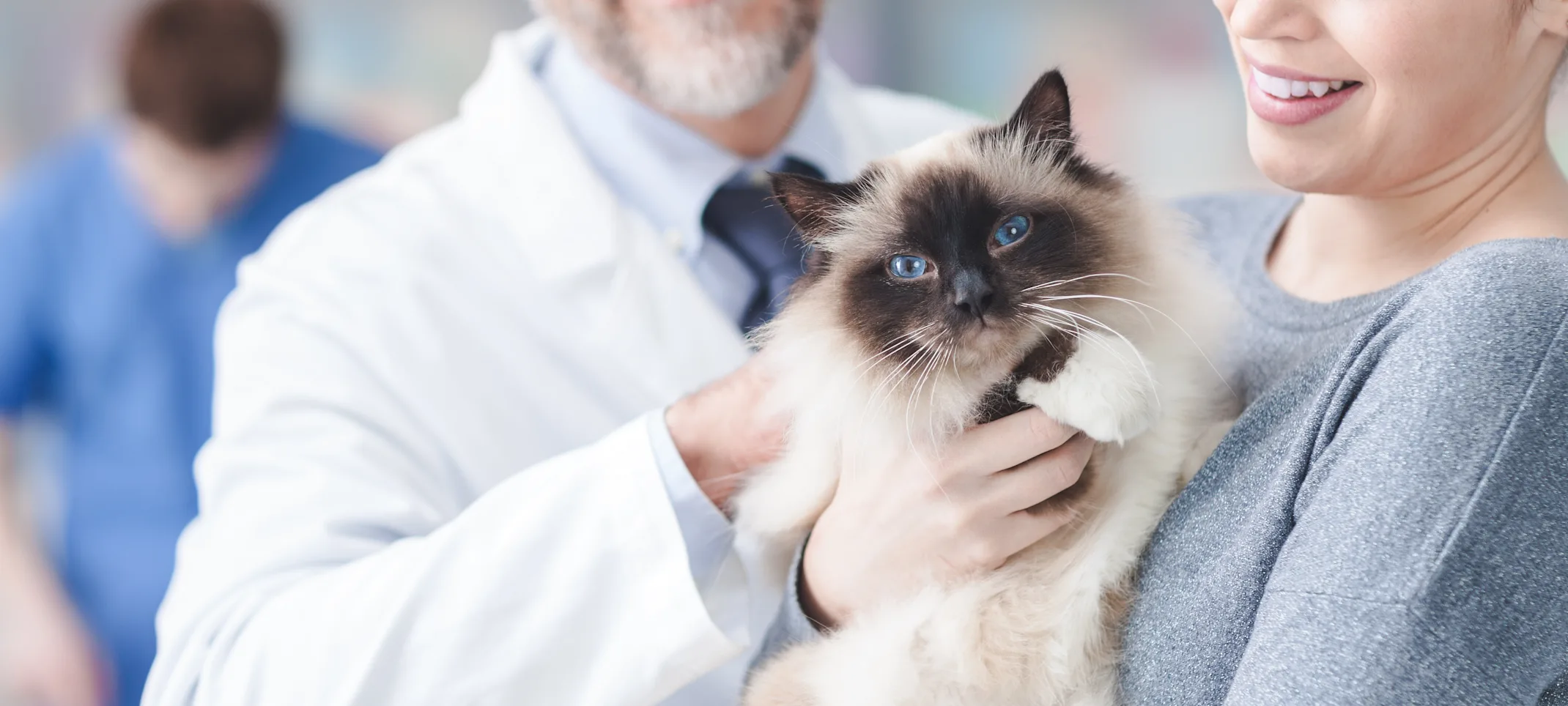 Woman holding cat with doctor Woman holding cat with doctor