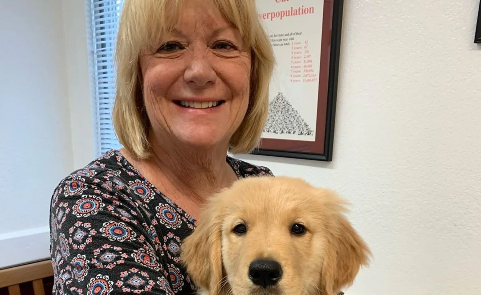 Staff and Dog Staff and Dog