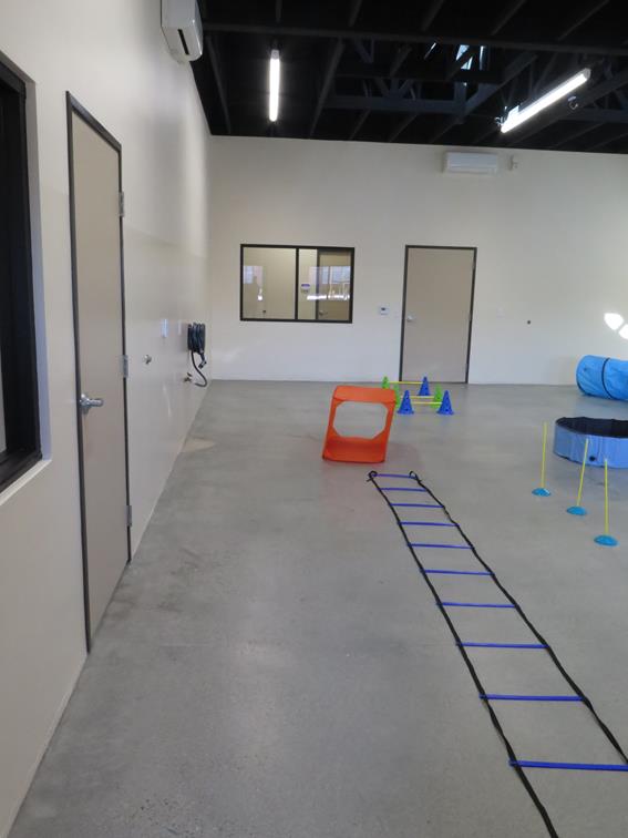 A training room with a pet trail appearing from the corner of the image to the center of the image. 