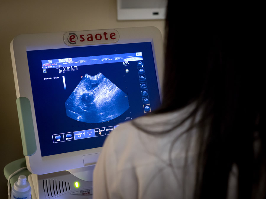 Park Veterinary Centre Ultrasound