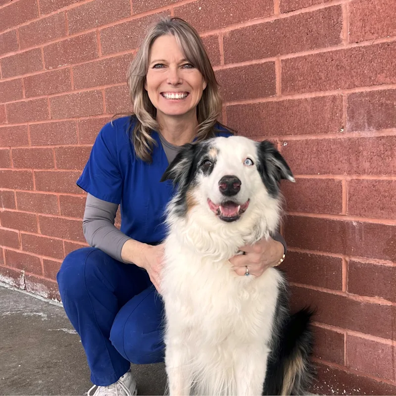 Dr. Kaye Johnson Dr. Kaye Johnson