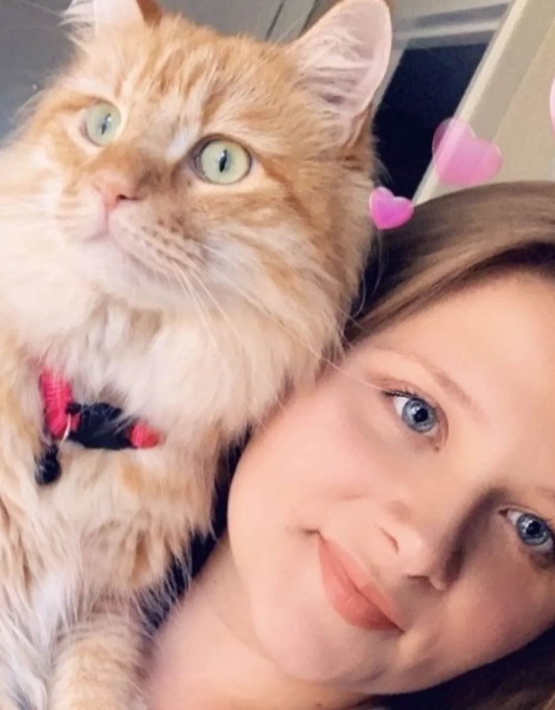 Hailey Hall, Lead Veterinary Technician at North Channel Animal Hospital, posing with a cat Hailey Hall, Lead Veterinary Technician at North Channel Animal Hospital, posing with a cat