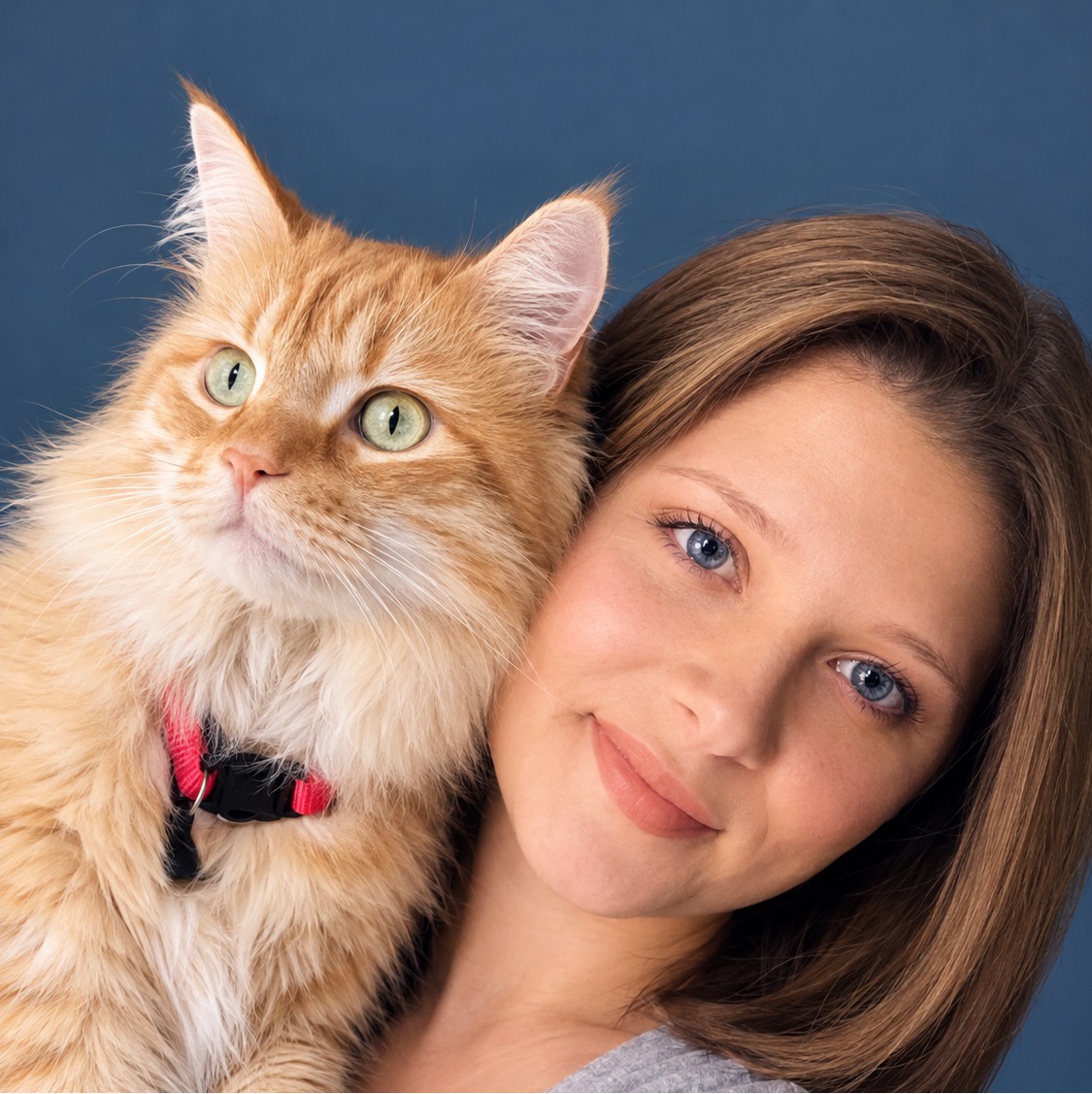 Hailey Hall, Lead Veterinary Technician at North Channel Animal Hospital, posing with a cat