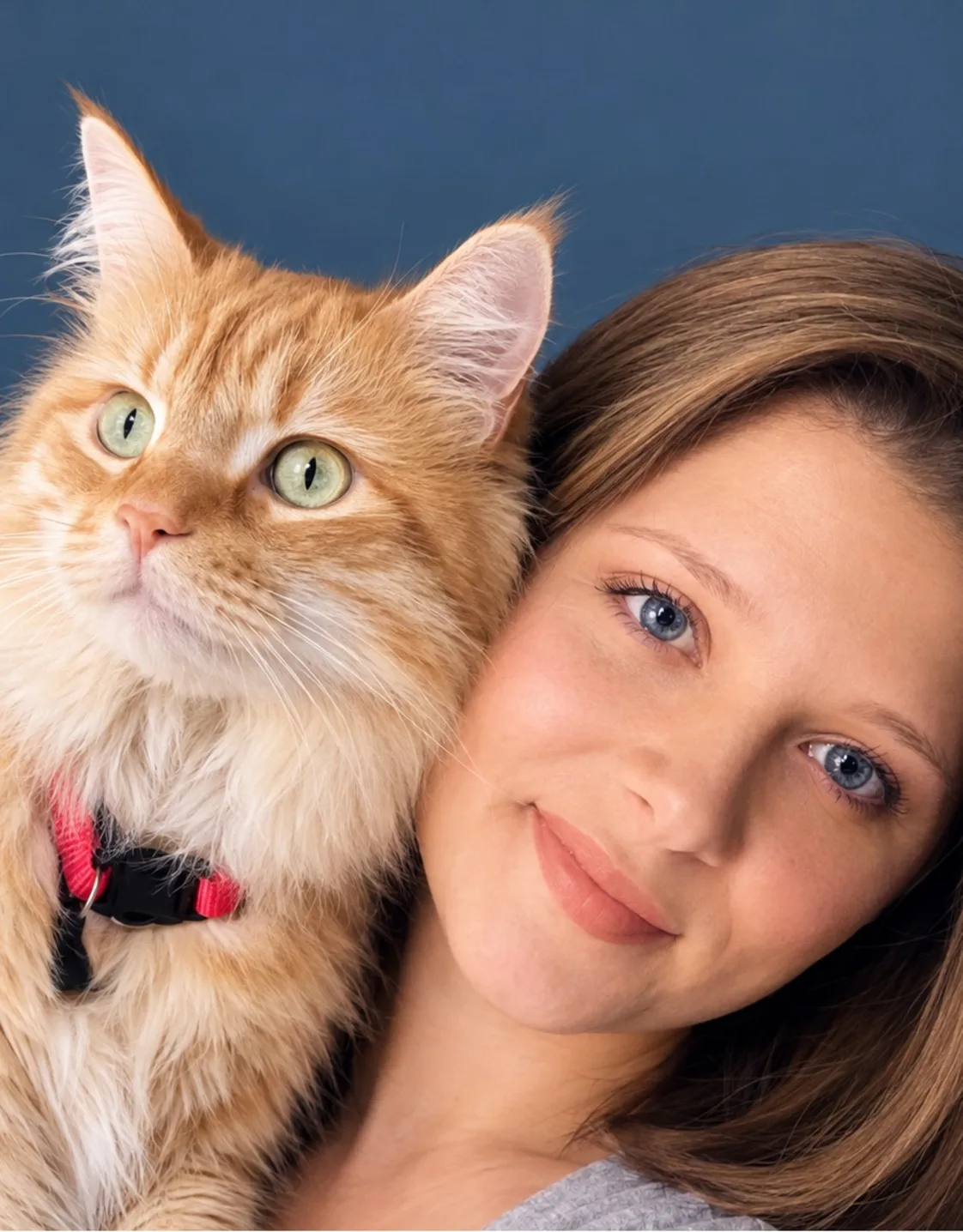Hailey Hall, Lead Veterinary Technician at North Channel Animal Hospital, posing with a cat Hailey Hall, Lead Veterinary Technician at North Channel Animal Hospital, posing with a cat