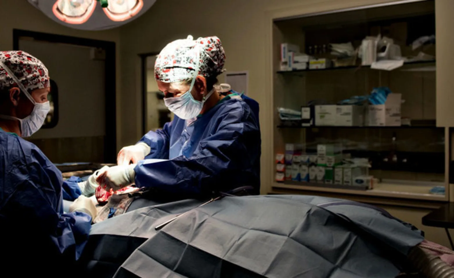 2 Doctors performing surgery 2 Doctors performing surgery