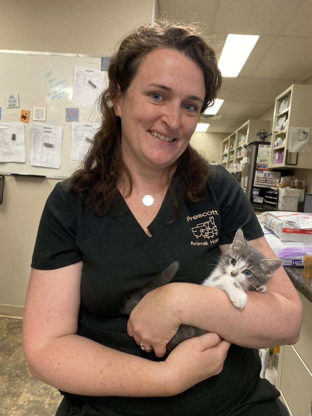 Aj with a grey kitten