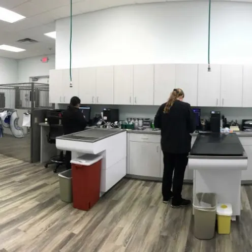 Veterinary staff working in the examination and kennel area of SCAN Clearwater