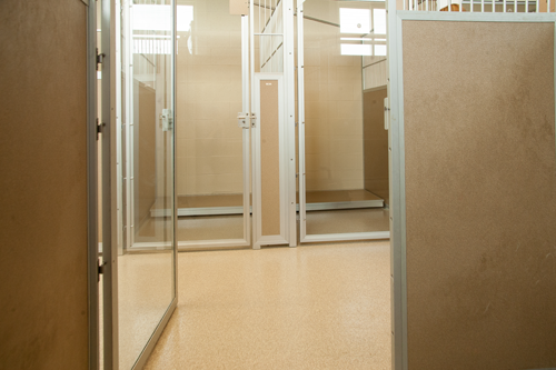 Hawthorne Park Animal Care Center Dog Boarding Door