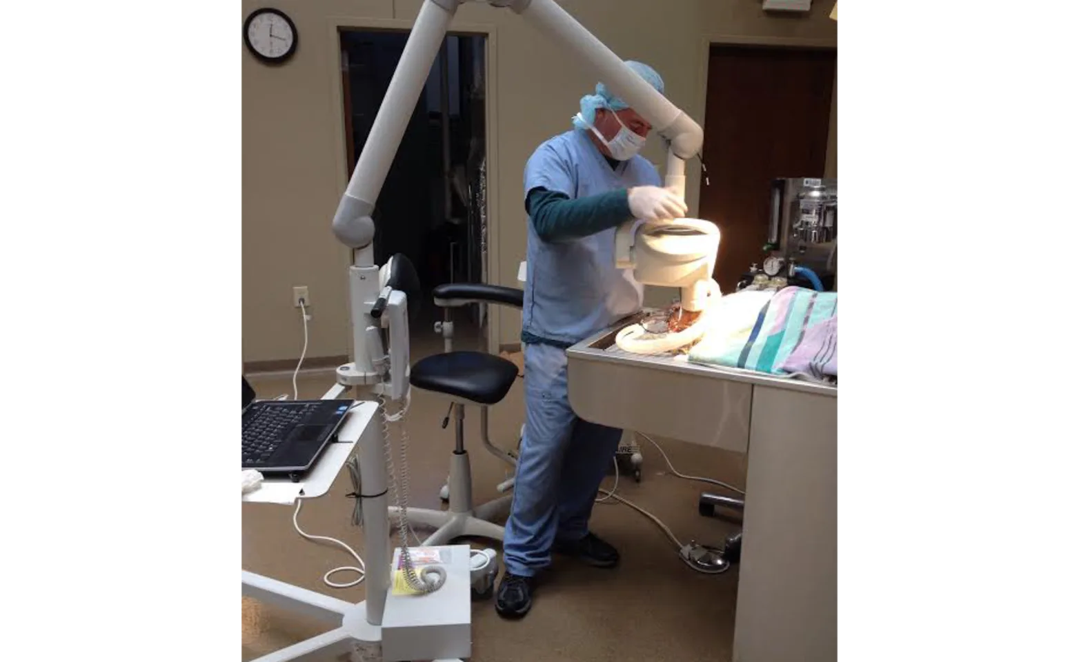 Oral Radiology at College Park Animal Hospital Oral Radiology at College Park Animal Hospital