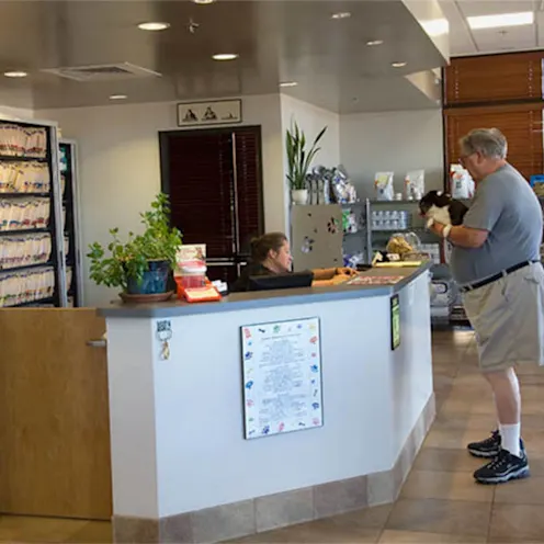 Customer at reception Customer at reception