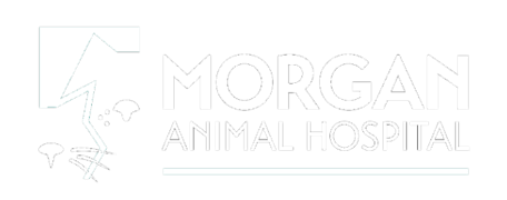 Morgan Animal Hospital Logo Morgan Animal Hospital Logo