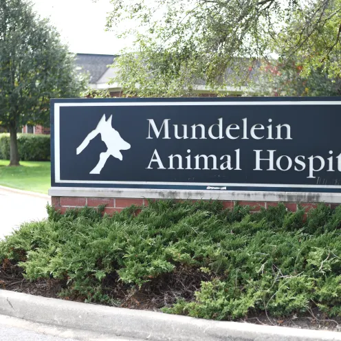 Entrance sign to Mundelein Animal Hospital