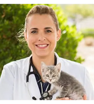 Lisa M. Lannen Lisa M. Lannen