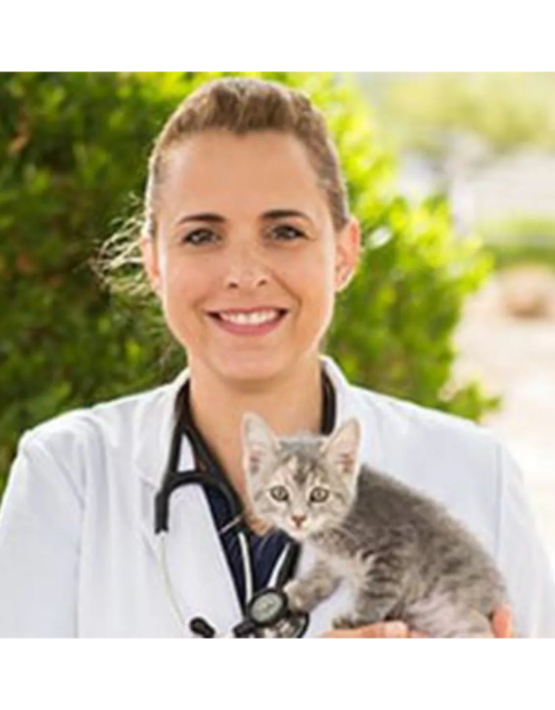 Lisa M. Lannen Lisa M. Lannen