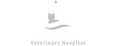 Owl Creek Veterinary Hospital Logo Owl Creek Veterinary Hospital Logo
