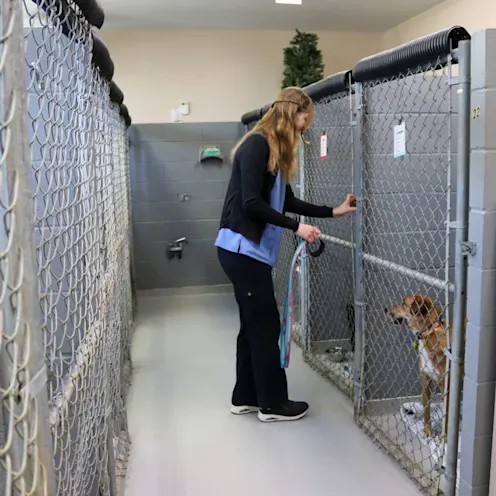 ME Kennels ME Kennels