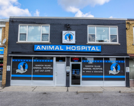 Islington Village Animal Hospital Exterior