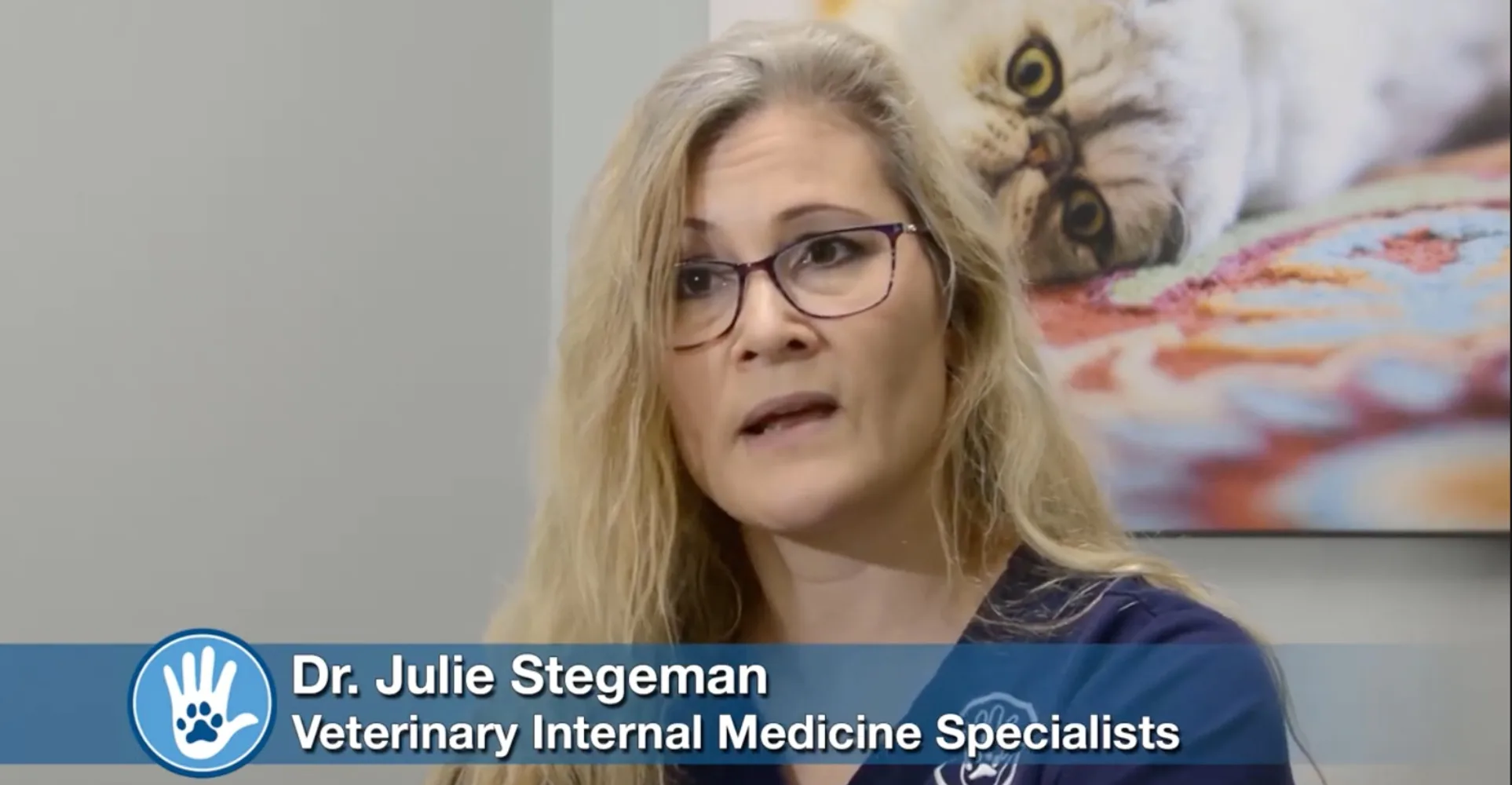 Nashville Veterinary Specialists youtube video screenshot