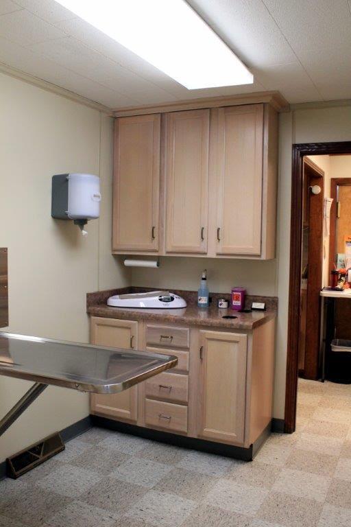An exam room inside the Eastview Veterinary Clinic