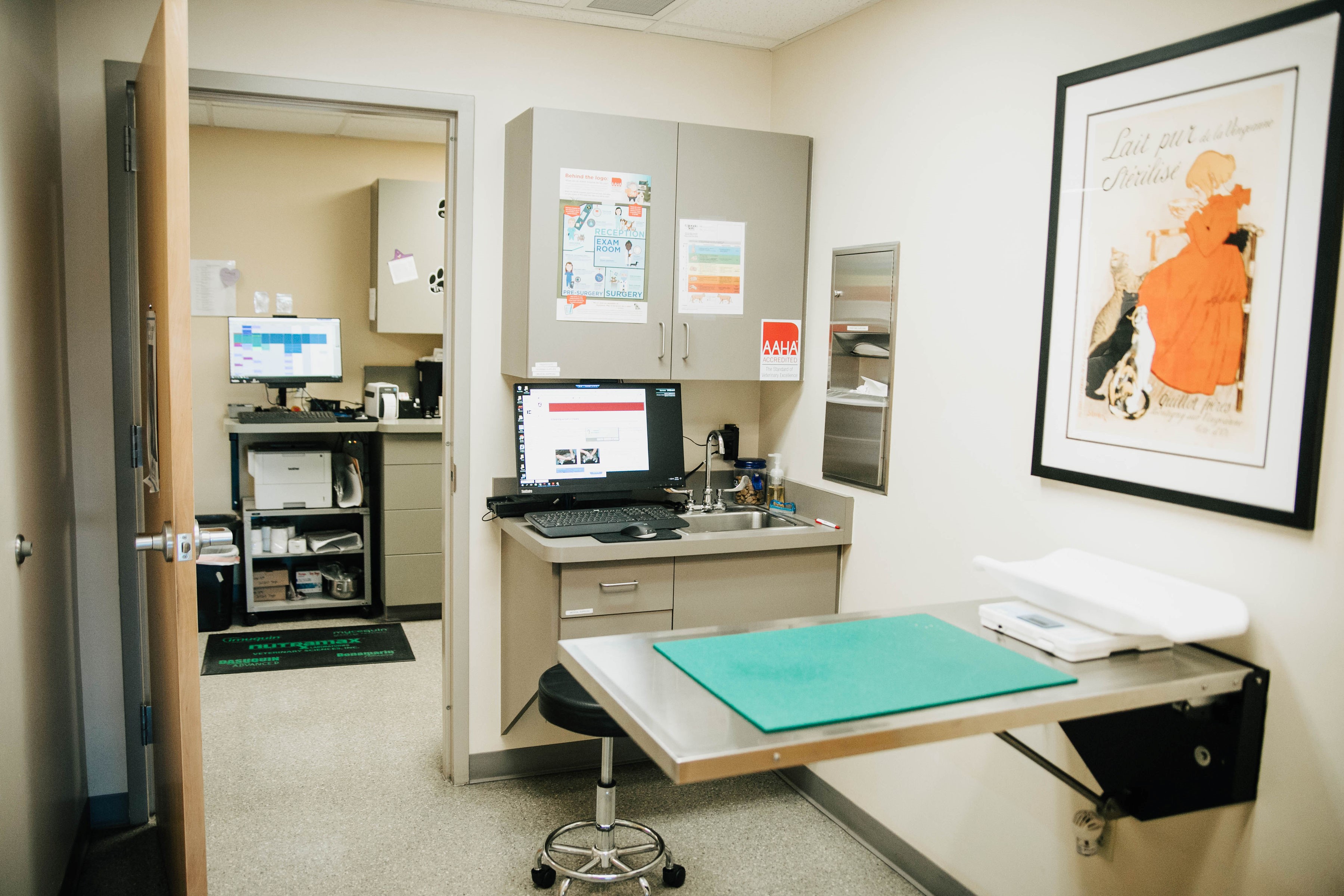 Exam Room at Chambers Creek Veterinary Hospital 