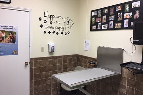 Grandview Veterinary Clinic Puppy Room