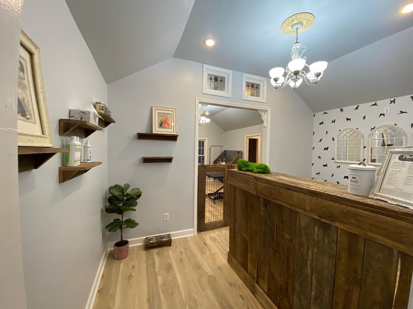 Salon of Pampered Paws Animal Hospital.