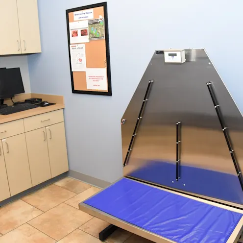 Exam Room #3 Exam Room #3