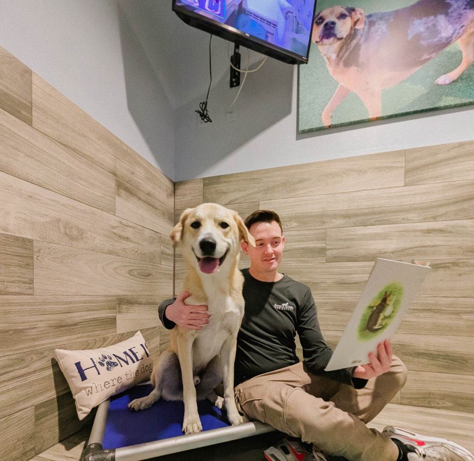 Staff reading to lab in luxury suite.