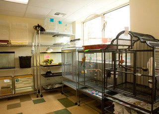 The Center for Bird and Exotic Medicine Boarding
