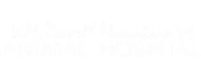 McDowell Mountain Animal Hospital Logo McDowell Mountain Animal Hospital Logo