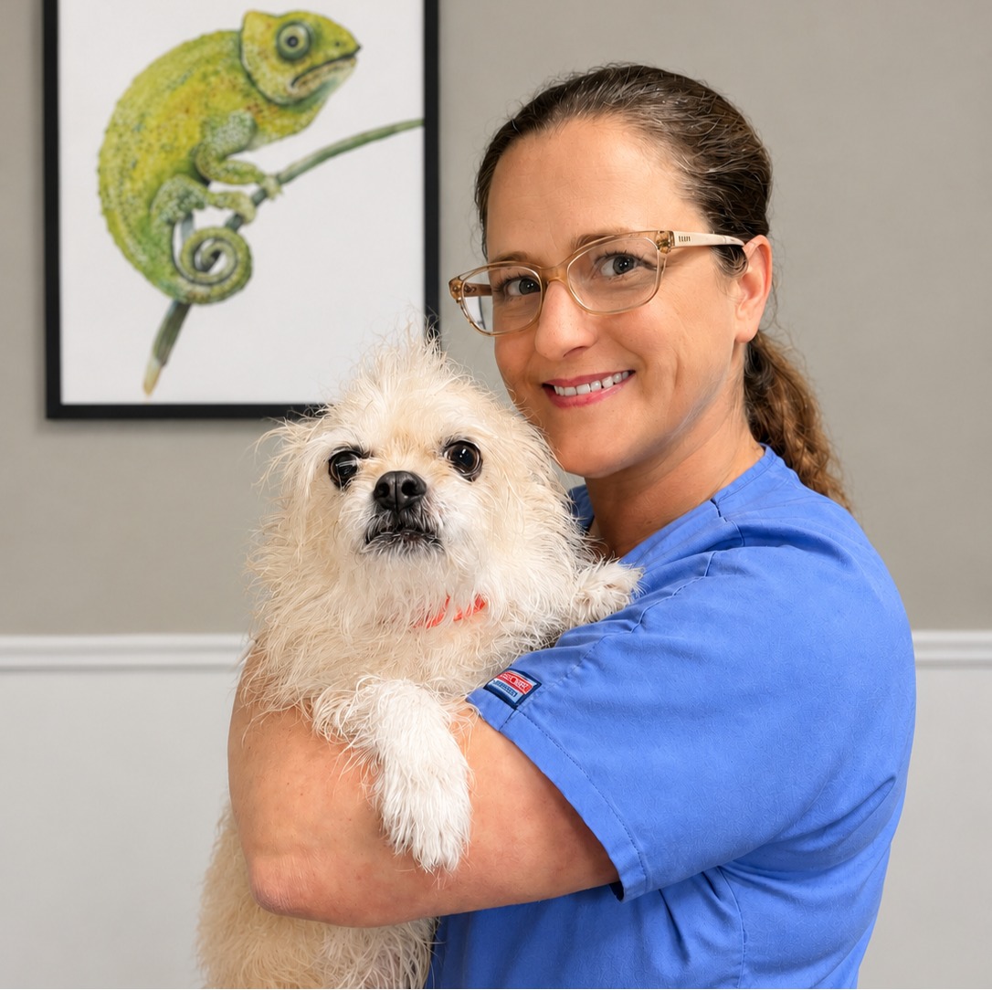 Candi's staff photo from Spanish Trail Animal Hospital where she is holding a puppy chihuahua.